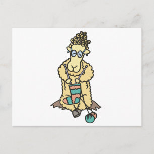 Cartão Postal Malha de Ovelha