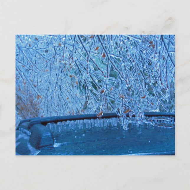 Cartão Postal Malibu Icicles (Frente)