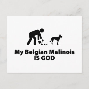 Cartão Postal Malinois Belga