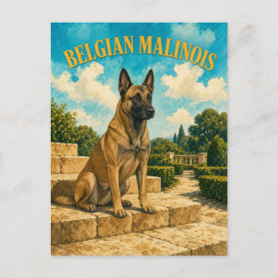 Cartão Postal Malinois Belga, Arte de Cachorro em Aquarela Vinta