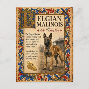 Cartão Postal Malinois Belga, Arte do Bestiário Medieval