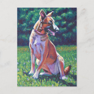 Cartão Postal Malinois Shepherd em Grassy Field