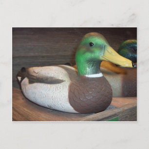 Cartão Postal Mallard Decoy