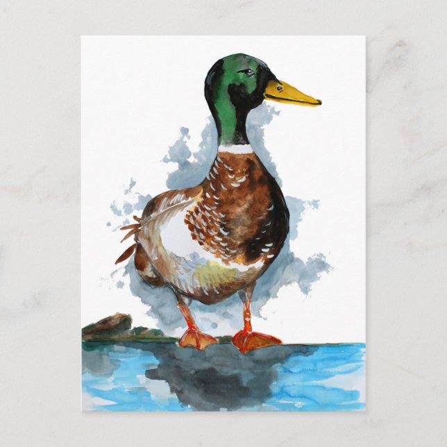 Cartão Postal Mallard Duck Watercolor (Frente)