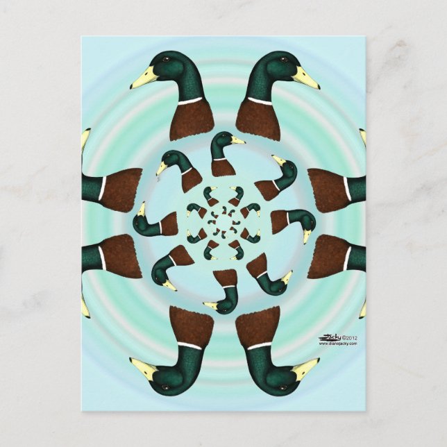 Cartão Postal Mallards Galore! (Frente)