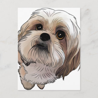 Cartão Postal Malshi Mal-shi