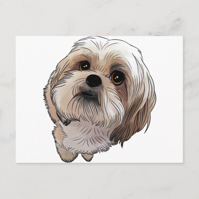 Cartão Postal Malshi Mal-shi (Frente)