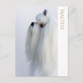 Cartão postal maltês