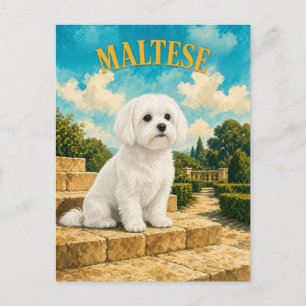 Cartão Postal Maltês, Arte de Cachorro em Aquarela Vintage