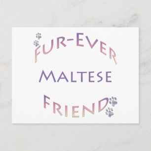 Cartão Postal Maltês Fuore