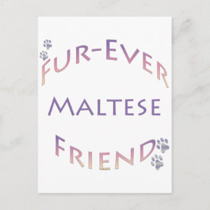 Cartão Postal Maltês Fuore