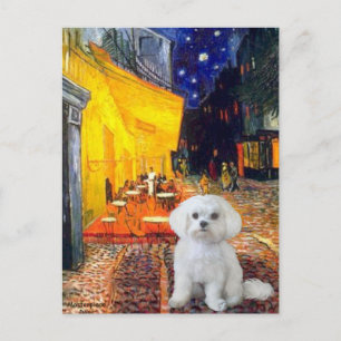 Cartão Postal Maltês (R) - Terrace Cafe