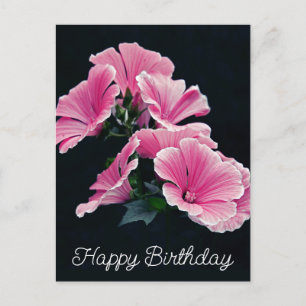 Cartão Postal Malva Flor de Malva Rosa Elegante