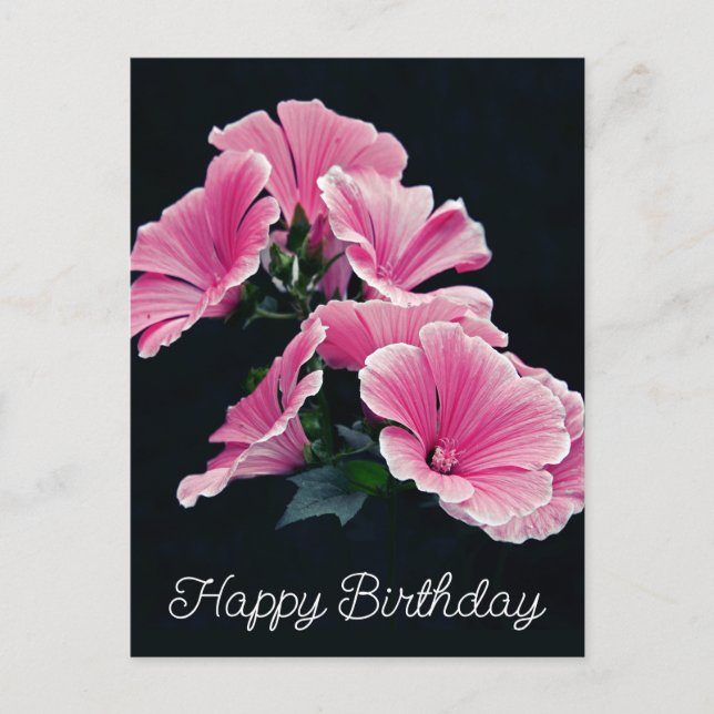 Cartão Postal Malva Flor de Malva Rosa Elegante (Frente)