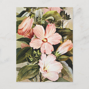 Cartão Postal Malvas Rosadas em Aquarela Vintage 