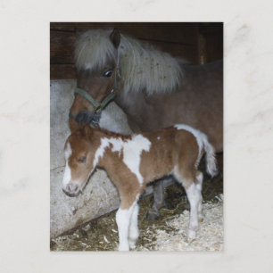 Cartão Postal Mamãe e Bebê