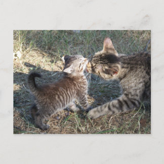 Cartão Postal Mamãe limpa bebê