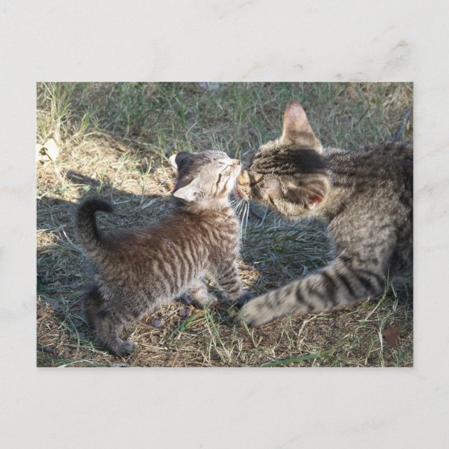 Cartão Postal Mamãe limpa bebê (Frente)