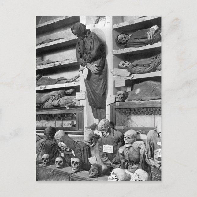 Cartão Postal Mamãs nos catacombs de Palermo, Italia (Frente)