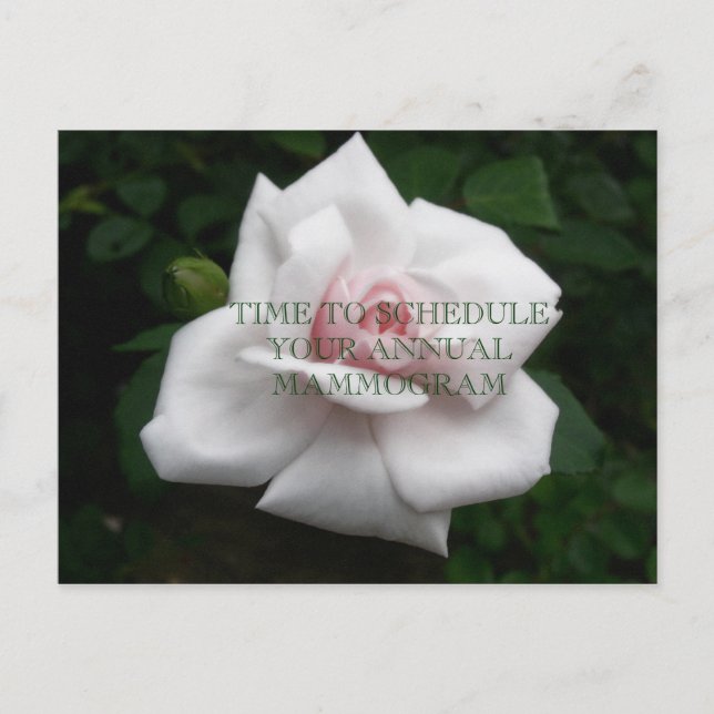 Cartão Postal Mamograma Anual (Frente)