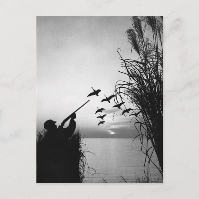 Cartão Postal Man Duck Hunting (Frente)