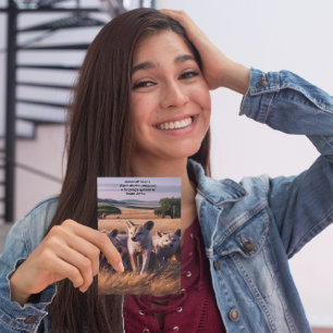 Cartão Postal Manada Majestosa de Aardwolf em Pé no Campo