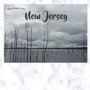 Cartão Postal Manasquan Reservoir Monmouth County New Jersey