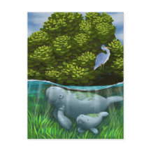 Manatee Mãe e Calf