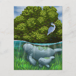 Cartão Postal Manatee Mãe e Calf
