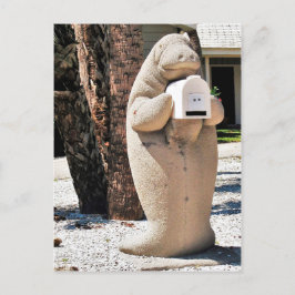 Cartão Postal Manatee Mailbox na Flórida Foto