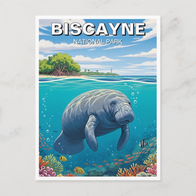Cartão Postal Manatee no Parque Nacional de Biscaia (Frente)