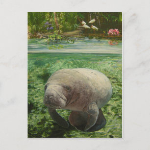 CARTÃO POSTAL MANATEIRA