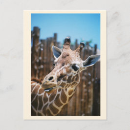 Cartão Postal Mancha