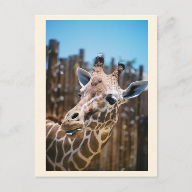 Cartão Postal Mancha (Frente)