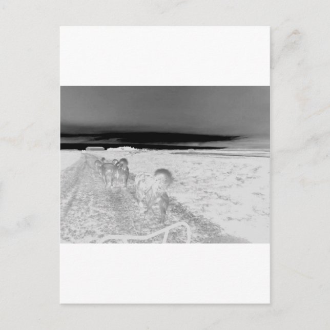 Cartão Postal Manchas (Frente)