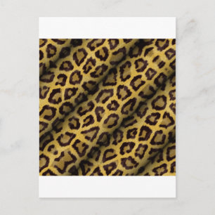 Cartão Postal Manchas de Leopardo