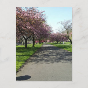 Cartão Postal Manchester em Primavera