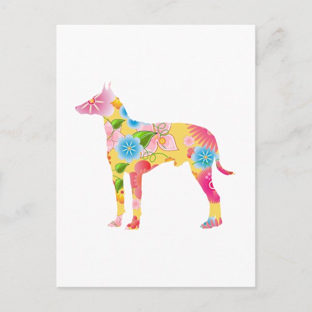Cartão Postal Manchester Terrier (Frente)