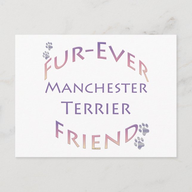 Cartão Postal Manchester Terrier Fuore (Frente)