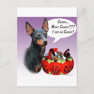Cartão Postal Manchester Terrier Halloween Candy