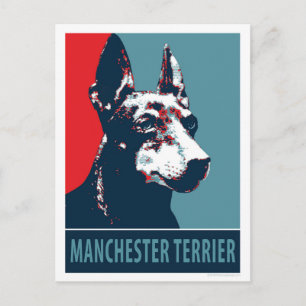 Cartão Postal Manchester Terrier Hope Poster político parody