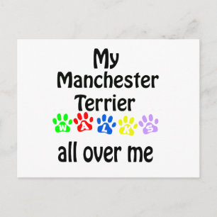 Cartão Postal Manchester Terrier Walks Design