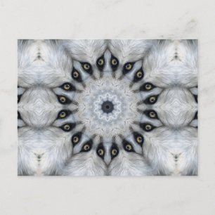 Cartão Postal Mandala de Lobo Olhos Ferozes e Simetria Peluda