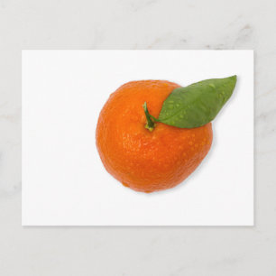 Cartão Postal Mandarim com folha verde