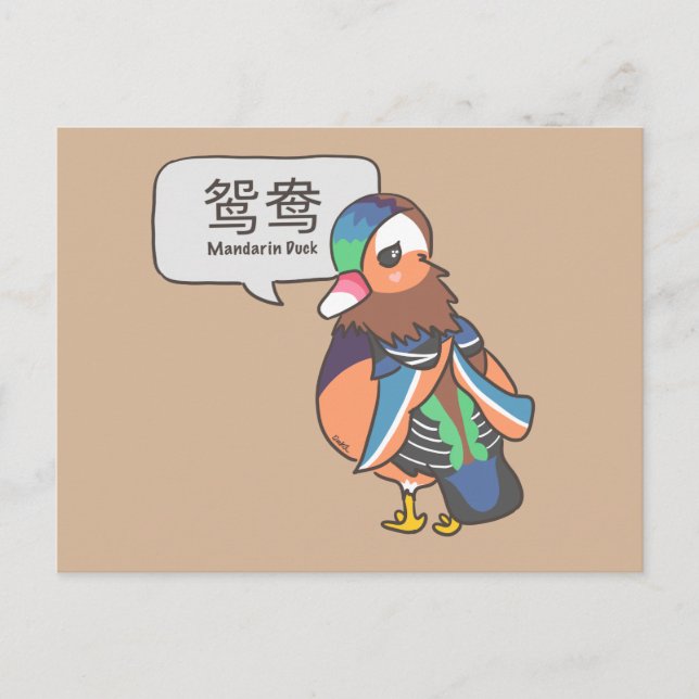 Cartão Postal Mandarin Duck (Frente)