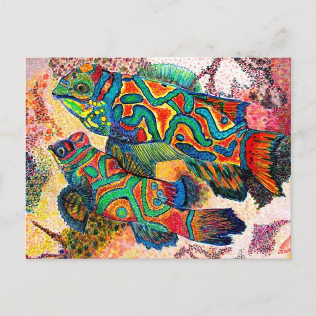 Cartão Postal Mandarin Fish Art (Frente)