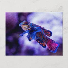 Cartão Postal Mandarin Goby Fish