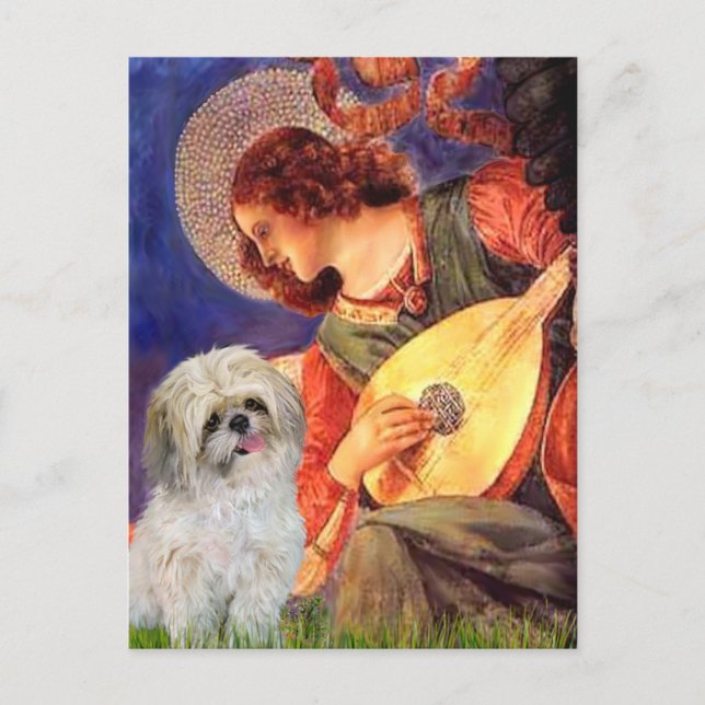 Cartão Postal Mandolin Angel - Shih Tzu (P) (Frente)
