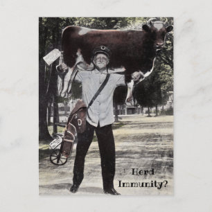 Cartão Postal Maneira antiga entrega por vaca de Imunidade Herd