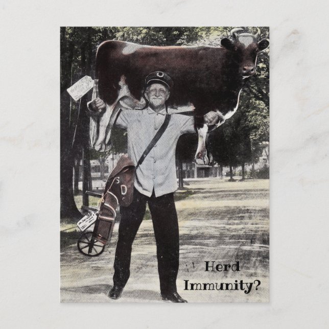 Cartão Postal Maneira antiga entrega por vaca de Imunidade Herd (Frente)